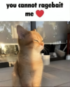 14262863134.png